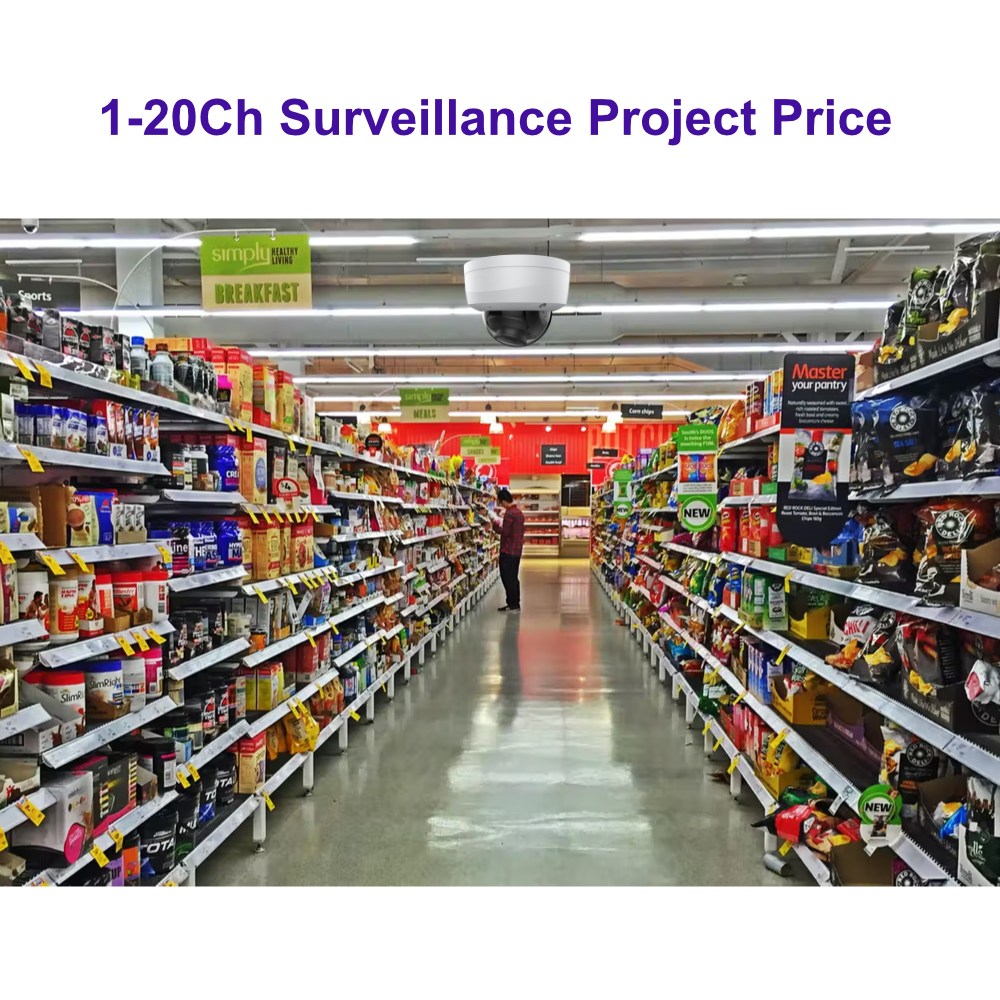 Surveillance Simple - Every Day Solutions - Project Quote