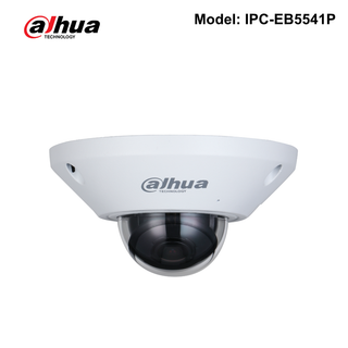 IP Cameras - Dahua